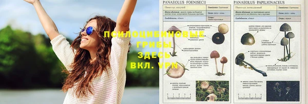 jwh Бородино