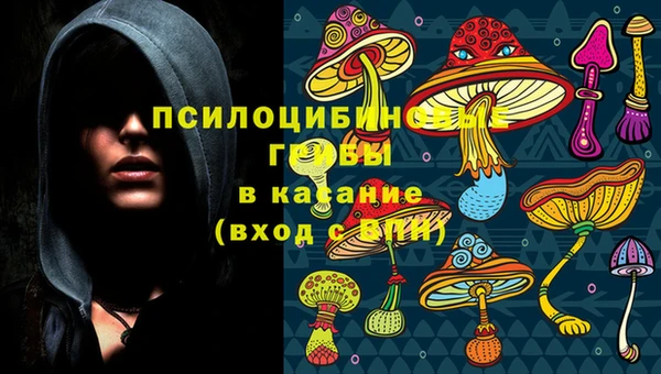 ГАЛЛЮЦИНОГЕННЫЕ ГРИБЫ Богданович