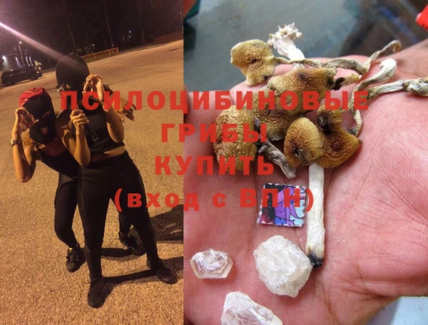 ГАЛЛЮЦИНОГЕННЫЕ ГРИБЫ Богданович