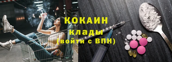ГАЛЛЮЦИНОГЕННЫЕ ГРИБЫ Богданович